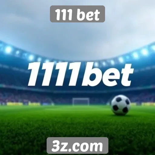 Segurança e confiabilidade do site 111 bet